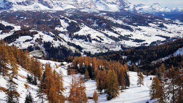 Евангелие дня. Чтимые святые дня. Седмица 28-я по Пятидесятнице. (14.12.2020) смотреть онлайн