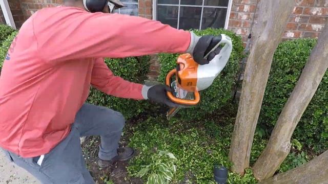 Light Weight Battery Powered Hedge Trimmer | Stihl HSA 66 смотреть онлайн