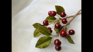 Спелая вишня из холодного фарфора. МК.  Ripe cold porcelain cherries.