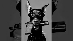 Да ты будешь с ней всегда в любые города.