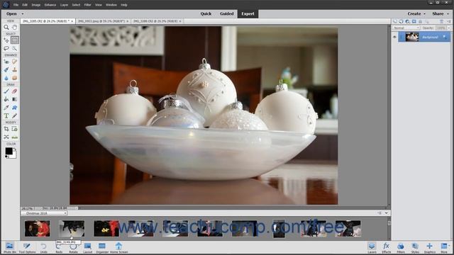 Photoshop Elements 2020 Tutorial The Photo Bin Adobe Training смотреть онлайн