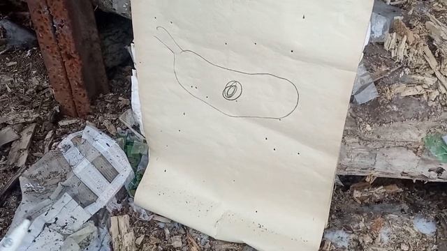 отстрел дроби 000 на крахмале на 50 м смотреть онлайн