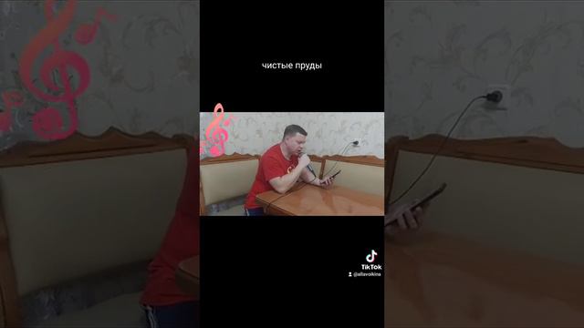Чистые пруды. Исполняет Александр Войкин смотреть онлайн