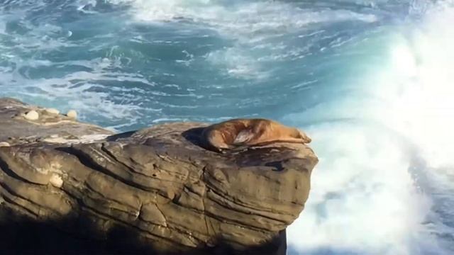 Морские котики. Калифорния смотреть онлайн