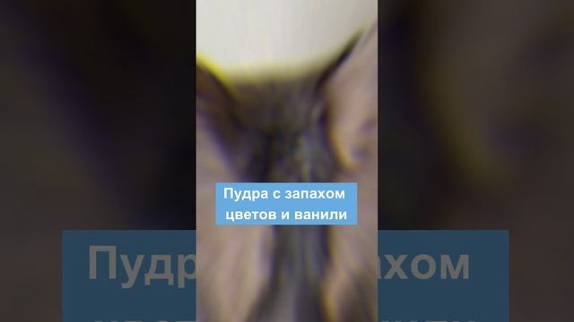 Dina Parfums French Style - элегантный аромат для женщин? смотреть онлайн