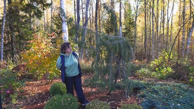 Виртуальная прогулка по парку "Репейник" смотреть онлайн