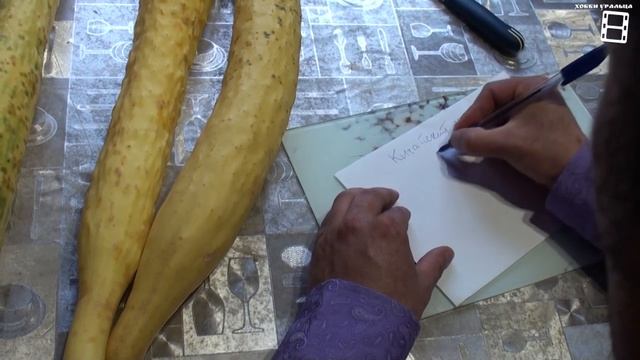 СЕМЕНА ОГУРЦОВ СО 100% ВСХОЖЕСТЬЮ. САД (ОГОРОД) И ТЕПЛИЦА смотреть онлайн