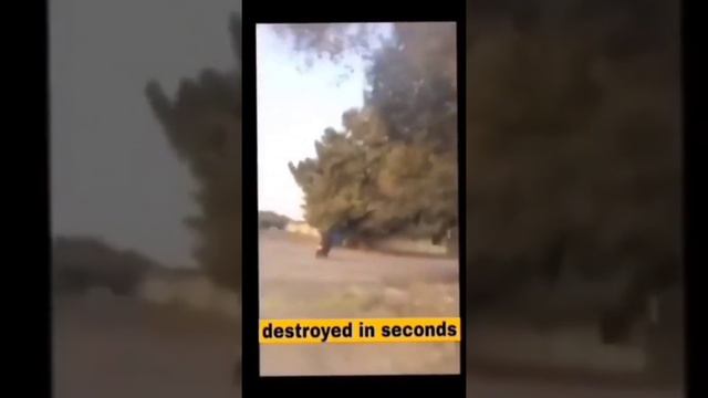 Sums it up correctly смотреть онлайн