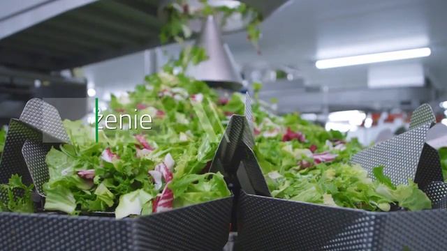 Green Factory видео производства смотреть онлайн