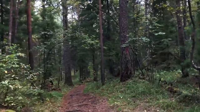 Библия. План победы на 3 февраля смотреть онлайн