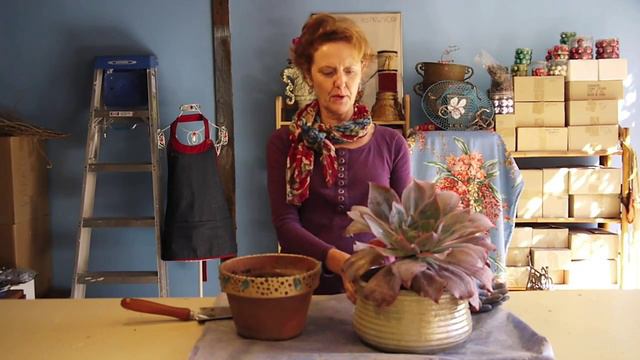 I Found A Gorgeous Pot For My Gorgeous Plant! смотреть онлайн