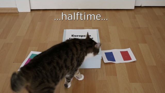 Amys Oracle EM 2016 | France vs Portugal Final смотреть онлайн