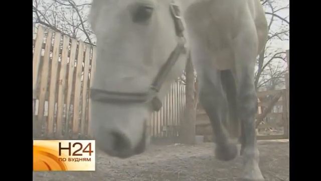 Сказка об иркутском тёплом тумане смотреть онлайн