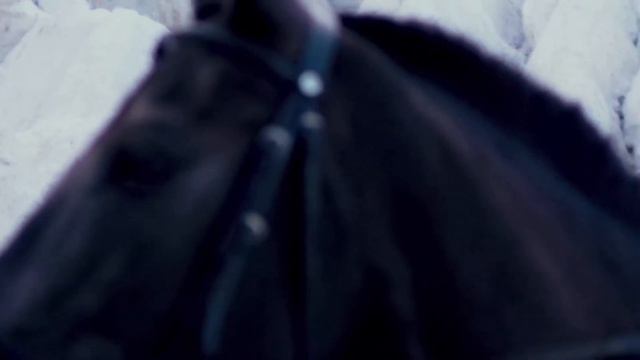 ETOLUBOV  ATTRACTION Translated Lyric Video. Russian To English
