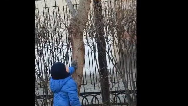 Ноябрь - СП2 ДС 2589 ГБОУ Школа 1368 смотреть онлайн