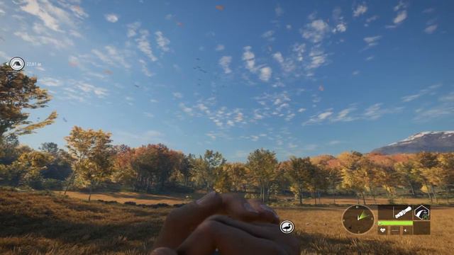 TheHunter Call of the Wild ГУСИ УТКИ и ЛАНЬ # 157 смотреть онлайн