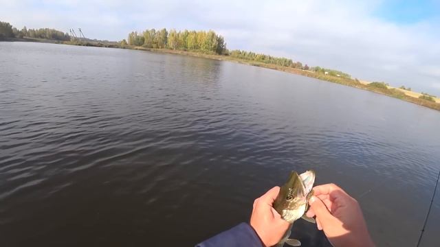 ЛОВЛЯ ЩУКИ ОСЕНЬЮ. ПРИМАНКИ НА ЩУКУ. РЫБАЛКА НА СПИННИНГ смотреть онлайн