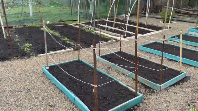 VLOG/ФИКС ПРАЙС/ПРОВЕДАЛИ ДАЧУ/ЗАКАЗЫ С ВАЛБЕРИС/ГОТОВКА смотреть онлайн