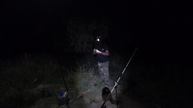 КАК БЫСТРО И ЛЕГКО ПОЙМАТЬ КАРАСЯ, ЛЕЩА.Я ЕГО ПОЙМАЛ !!! РЫБАЛКА НА ДОНКИ смотреть онлайн