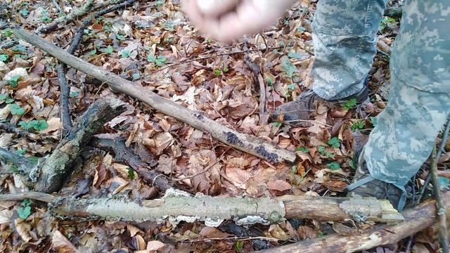 GLJIVE KRAJEM FEBRUARA, MUSHROOMS AT THE END OF FEBRUARY ?️♂️?2️⃣ смотреть онлайн