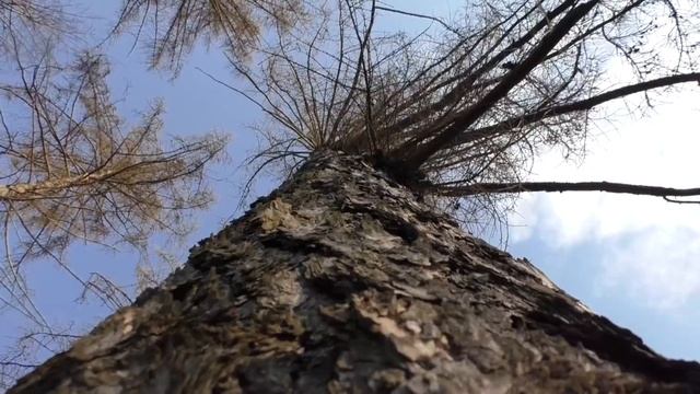 Прогулка по усадьбе 18 века.. смотреть онлайн