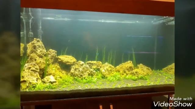 Запуск травника на 200 литров смотреть онлайн