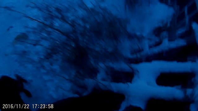 Приют глазами волонтёров. Ротвейлер Чоп. смотреть онлайн