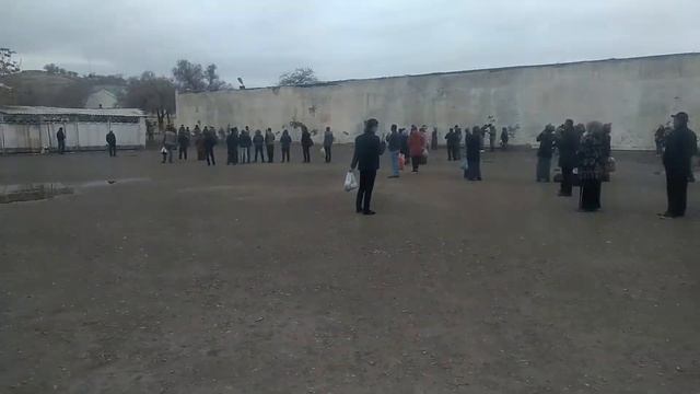 ПРИСЯГА 14.11.2020Ыхтыяр Хайыдов гуллук йыллары смотреть онлайн