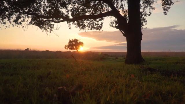 Elvis Presley, Until It's Time For You To Go, 70's Pop Music Song, Jenny Daniels Covers Best Elvis смотреть онлайн