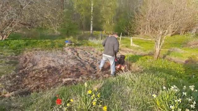 Весна, отличная пора. смотреть онлайн