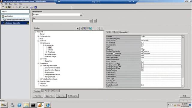 Oracle HFM Custom Dimension Consolidation смотреть онлайн