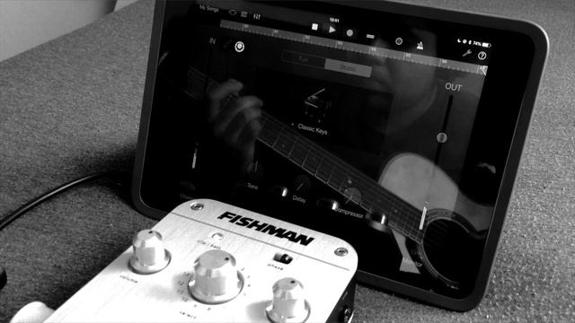Shalom Aleichem - (Recorded with Fishman AURA & iPad) смотреть онлайн