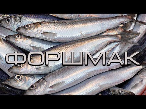 Легкое, вкусное блюдо из селедки. Форшмак.