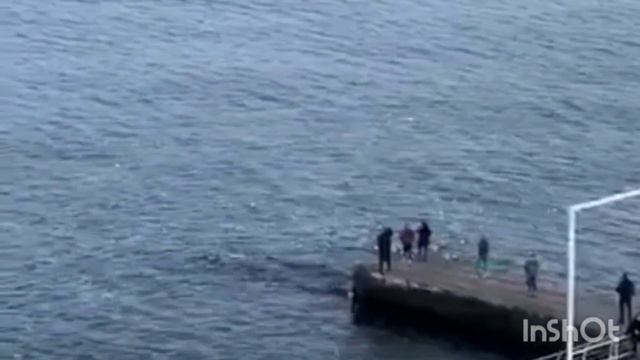 Одесса. Куда все идут ? Что происходит ? Это надо видеть 💥 смотреть онлайн