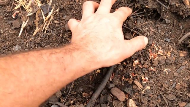 CHOP AND DROP - Feeding a food forest смотреть онлайн