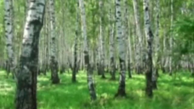 венский вальс смотреть онлайн