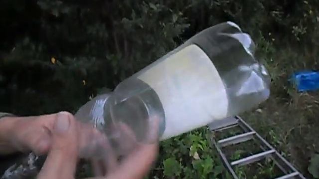 Как полностью обобрать вишню. смотреть онлайн