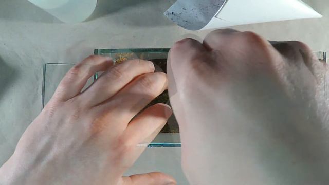 Sealed Terrarium ☘🌍 смотреть онлайн