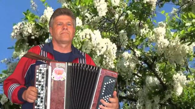МОЯ ЛЮБОВЬ ЖИВА. смотреть онлайн