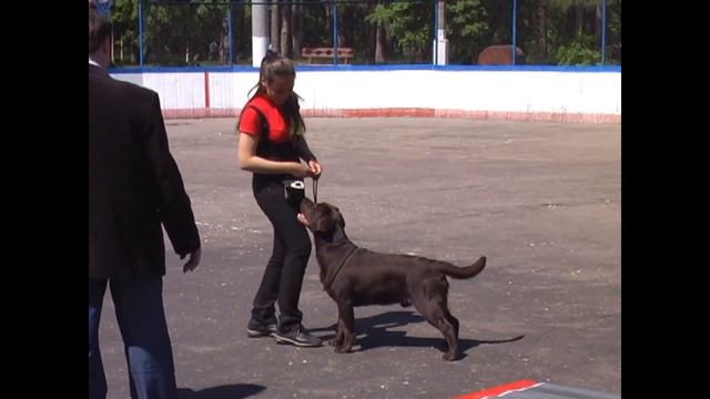 выставка смотреть онлайн