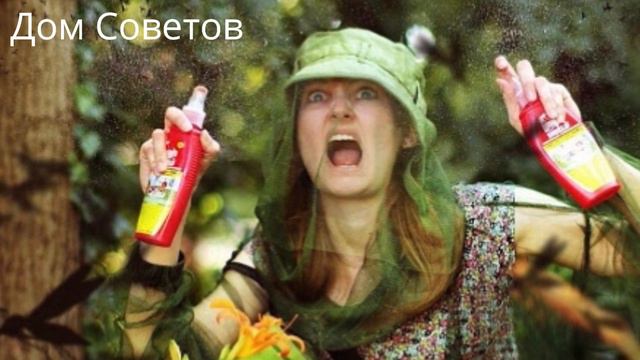 Распылите это в Вашем доме - все Мошки и Комары улетят смотреть онлайн