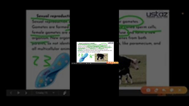 Жануарлардың көбеюі / Размножение животных / Animal reproduction смотреть онлайн