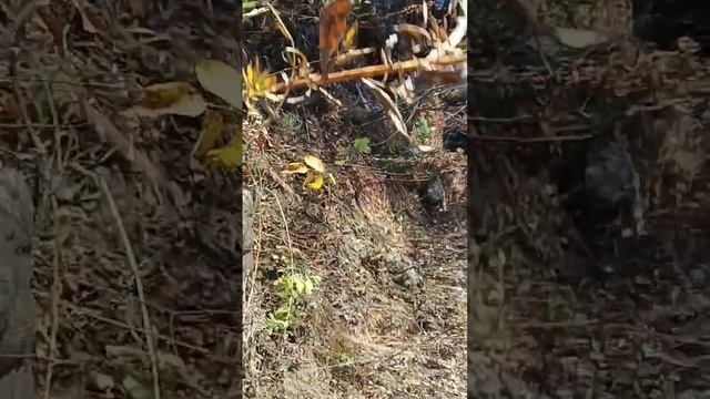 Мой первый ролик с другом далше будет ещë интересней и продожение слудует..... смотреть онлайн