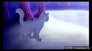 Клип:Коты-воители{Крутобок и Серебрянка}[Песня:"Голубые глаза"]