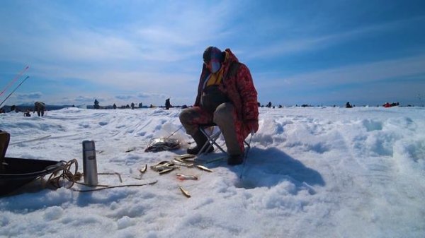 Отлично закрыл сезон рыбалки на льду, залив Мордвинова