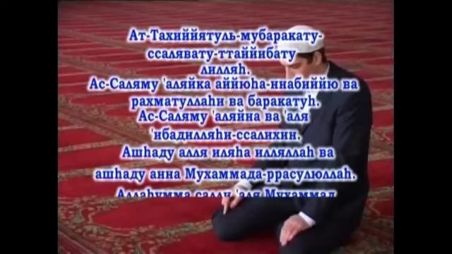 Грибной карнавал в природе