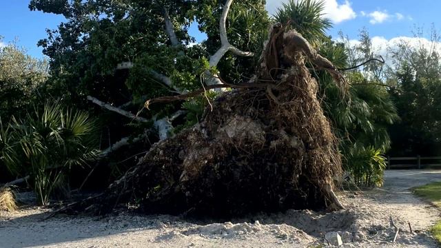 Surveying the Aftermath of Hurricane Ian смотреть онлайн