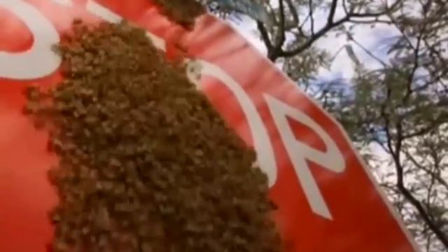 КОРОЛИ ГРИФЕРСТВА. НАСЕКОМЫЕ-ВРЕДИТЕЛИ смотреть онлайн