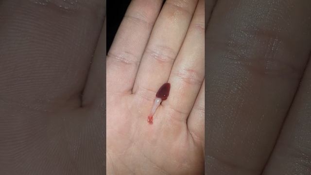 Сердце Щуки. смотреть онлайн