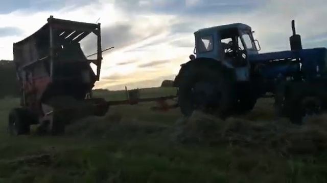 Трактор т-40 и пресс-подборщик прп-1.6. Рулоны небольшой плотности. смотреть онлайн